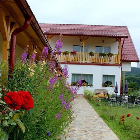 Pensiunea Poezii Alese Valea Drăganului Buitenkant foto