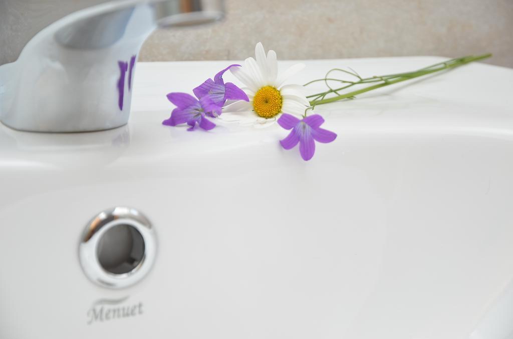 Pensiunea Poezii Alese Valea Drăganului Kamer foto