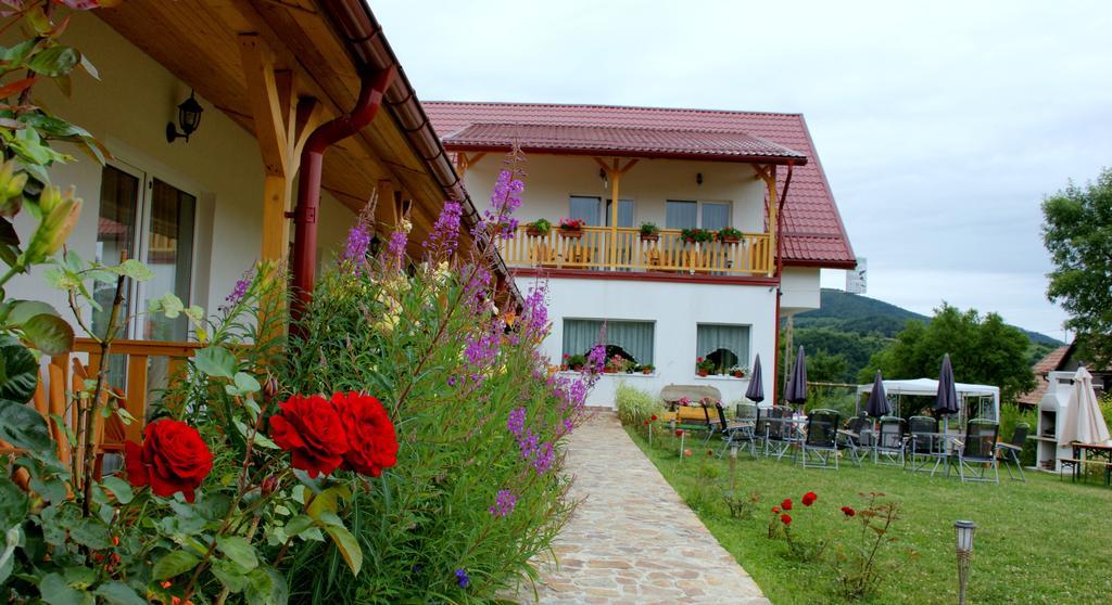 Pensiunea Poezii Alese Valea Drăganului Buitenkant foto