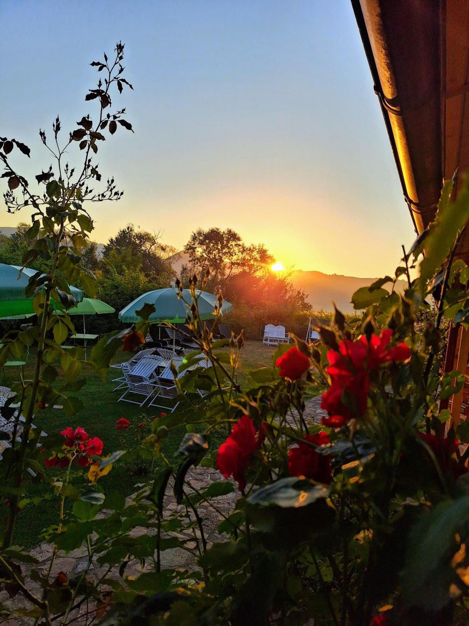 Pensiunea Poezii Alese Valea Drăganului Buitenkant foto