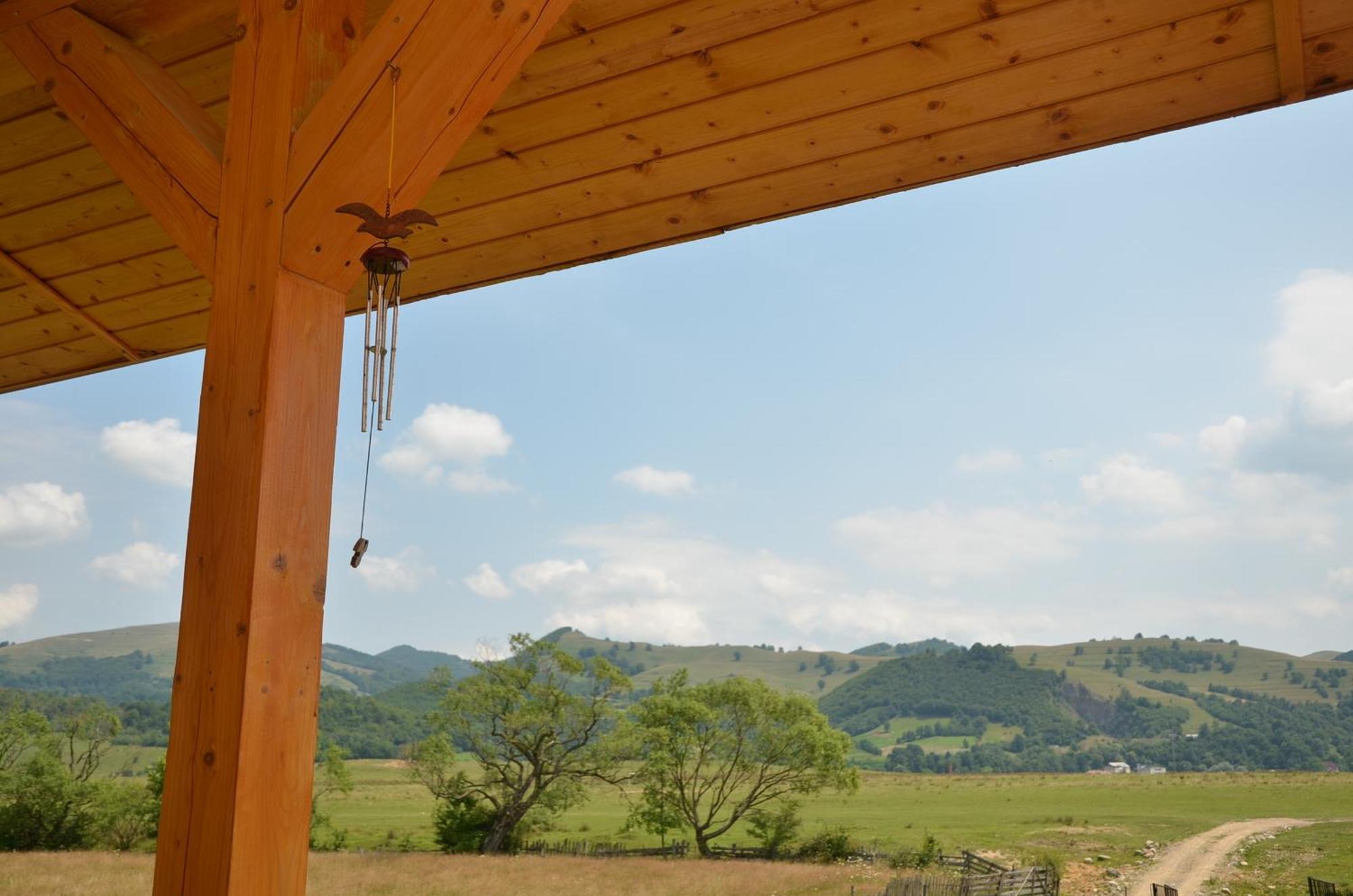 Pensiunea Poezii Alese Valea Drăganului Buitenkant foto