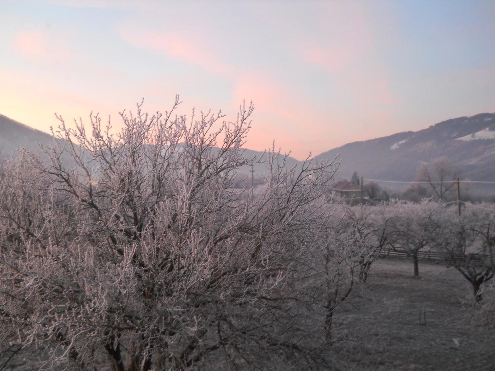 Pensiunea Poezii Alese Valea Drăganului Buitenkant foto
