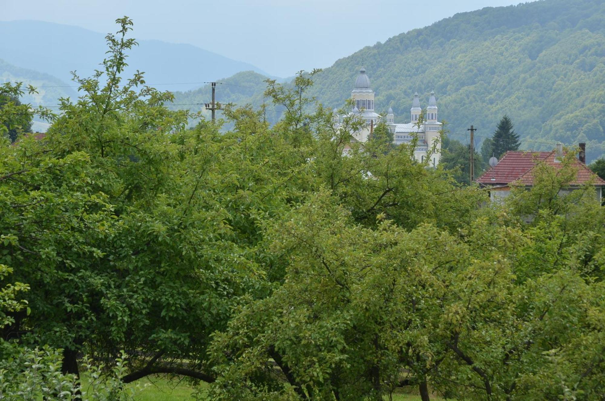 Pensiunea Poezii Alese Valea Drăganului Buitenkant foto