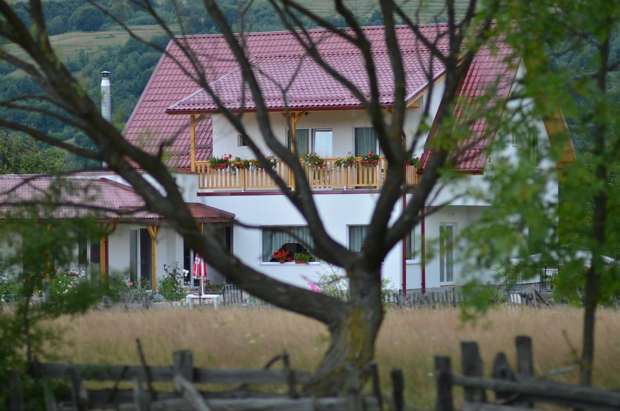 Pensiunea Poezii Alese Valea Drăganului Buitenkant foto