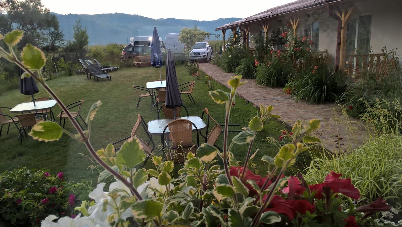 Pensiunea Poezii Alese Valea Drăganului Buitenkant foto