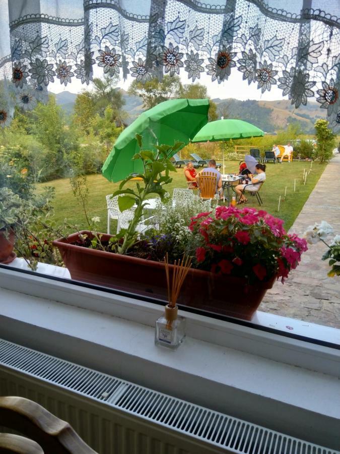 Pensiunea Poezii Alese Valea Drăganului Buitenkant foto