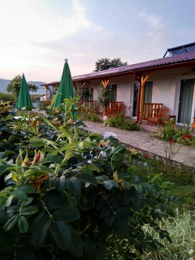Pensiunea Poezii Alese Valea Drăganului Buitenkant foto