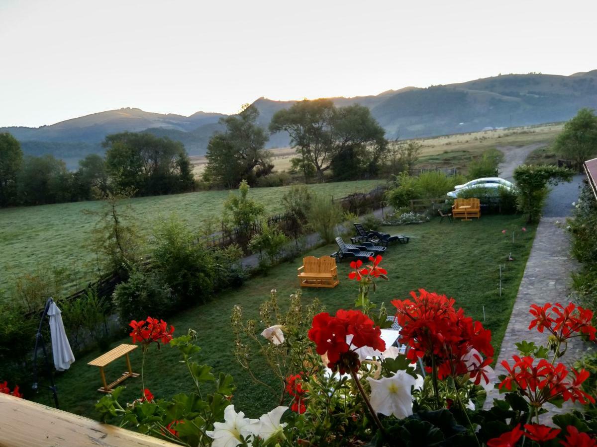 Pensiunea Poezii Alese Valea Drăganului Buitenkant foto